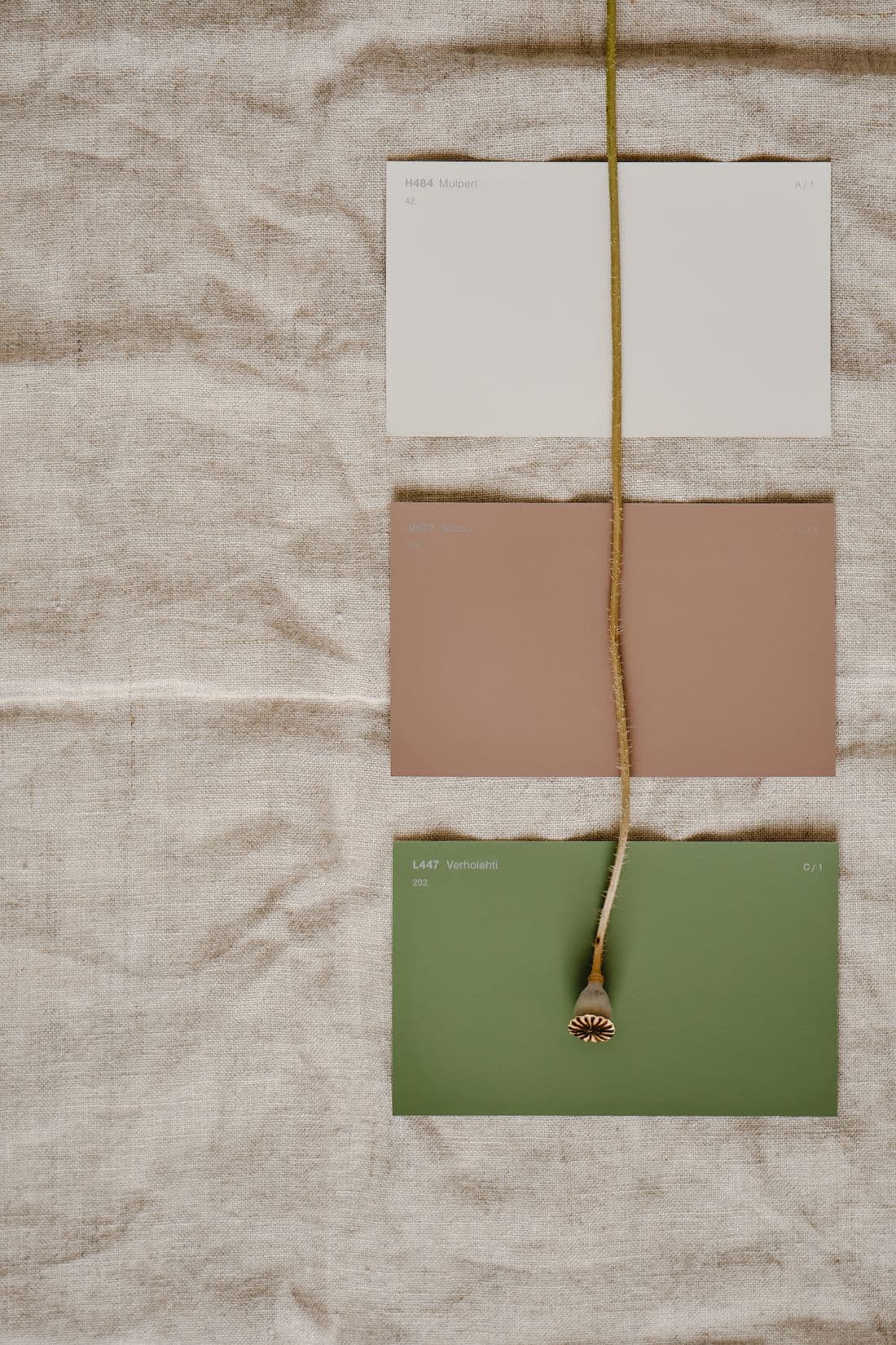 Three paint sample cards in white, clay pink and olive laid out on linen